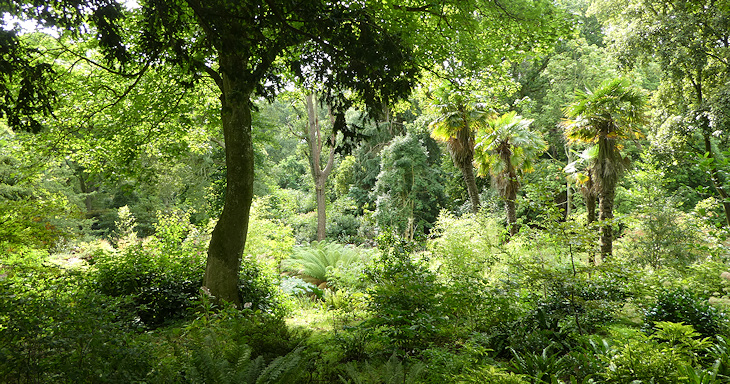 Abbotsbury Subtropical Gardens 2