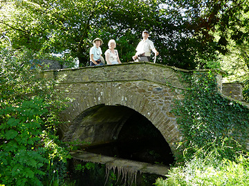 Bridge at Coombe Trenchard