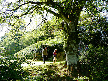 Coombe Trenchard, into the woods