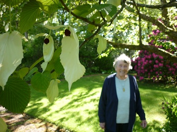 Joice Reith's Garden