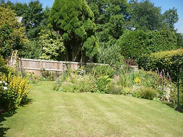 Kay Moore's Garden