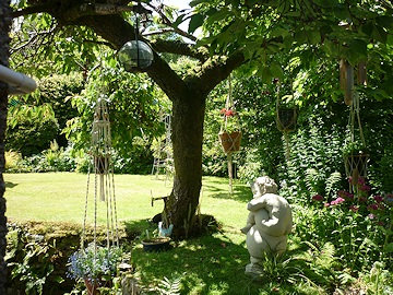 Kay Moore's Garden