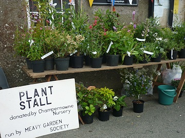Meavy Garden Society Plant Stall at Oak Fair