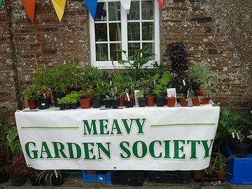 Meavy Garden Society at Meavy Oak Fair 2015
