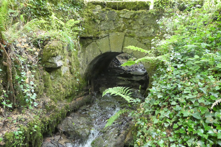 Trengwainton Garden - bridge