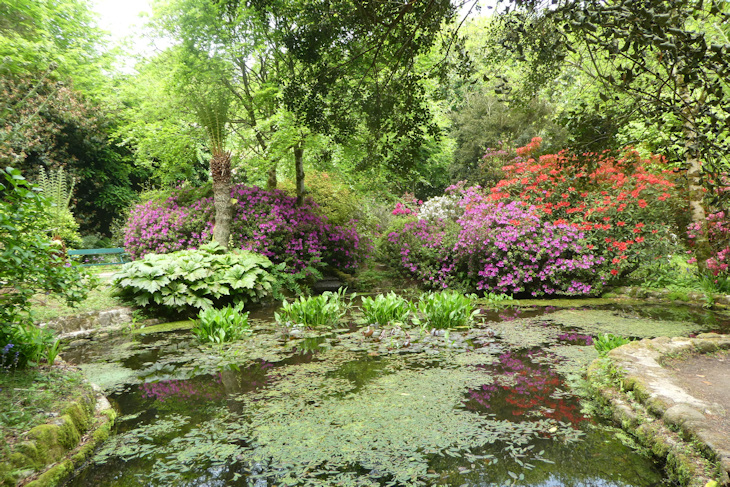 Trengwainton Garden - very pretty
