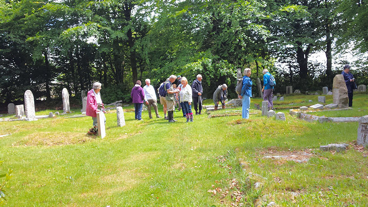 Meavy Garden Society on a wild flower walk